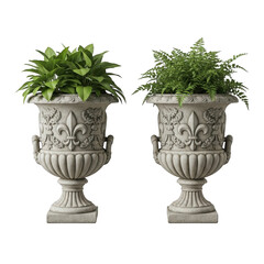 Elegant pair of ornate stone garden urns filled with lush greenery and foliage isolated on transparent background