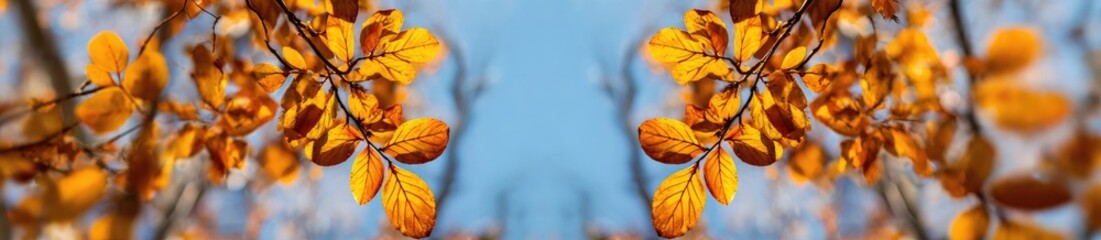Autumnal arrangement showing golden leaves mirroring each other with blue sky in the background