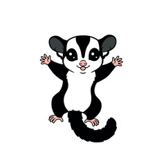 Cute cartoon sugar glider standing with arms open.