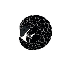 Pangolin curled up in a defensive ball black and white illustration.