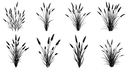A collection of black and white illustrations depicting various grass tufts