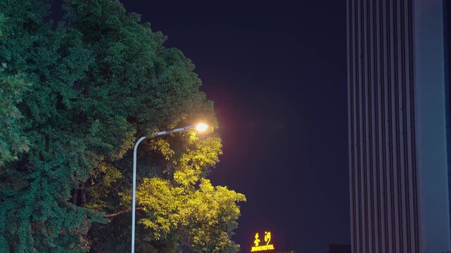 Street lights on the street at night, buildings with slogans