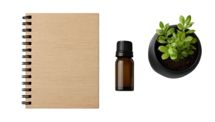 Light beige notebook, amber bottle, small plant