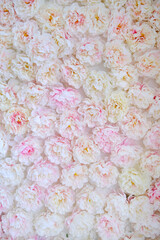 Beautiful floral arrangement featuring soft pink and white peonies on a textured background, perfect for spring-themed postcards with ample copy space for messages