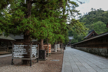 出雲大社の風景