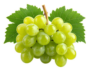 Fresh Green Grapes on Vine - isolated on a transparent background for Design Projects