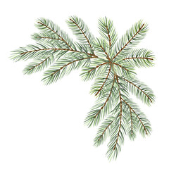 Obraz premium Pine tree branch watercolor isolated illustration corner for festive desing. Christmas traditional plants in vintage. Spruce twig with green needles. Hand drawn evergreen conifer for winter holiday.