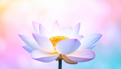 A glowing lotus radiates soft pink and blue hues, floating in pastel serenity.