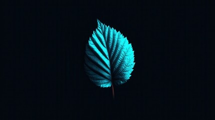 Blue leaf on dark background