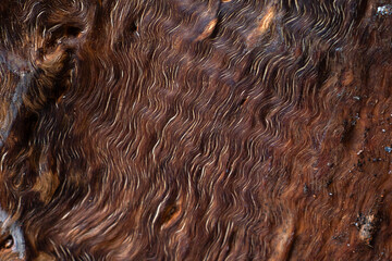 Dry brown wood texture pattern