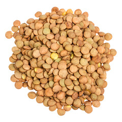 Pile of dried brown lentils on a transparent background. 