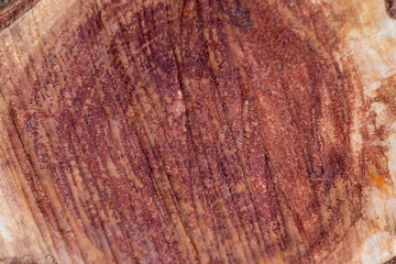 Dry brown wood texture pattern