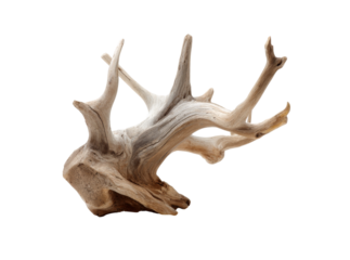 Intricate driftwood sculpture natural art piece, Isolated On Transparent Background, Png