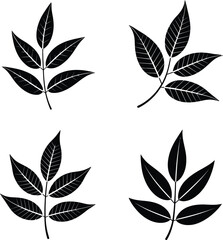 Collection of four stylized black leafy branch silhouettes with detailed veining silhouette