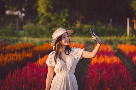 Happy traveler asian woman with dress use mobile phone for selfie on red Celosia flower field in garden at Chiang Mai Thailand Winter travel holiday vacation concept