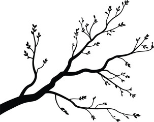 Delicate bare tree branch with small buds in a stark black silhouette against white
