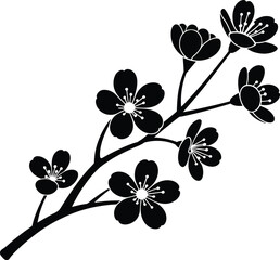 Delicate black silhouette of a blooming cherry blossom branch with detailed flower petals