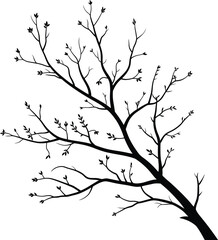 Elegant bare tree branch with small buds against a stark white background silhouette