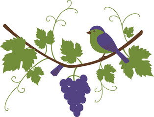 Charming bird perched on grapevine branch with ripe purple grapes and green leaves isolated on transparent background