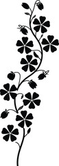 Elegant black silhouette of a delicate flowering vine with small blossoms and leaves