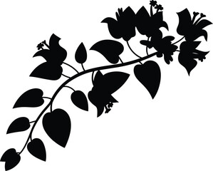 Elegant black silhouette of a flowering bougainvillea branch with delicate leaves and blossoms