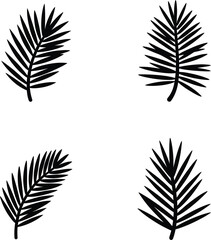 Four stylized black palm frond silhouettes on a white background with subtle texture silhouette