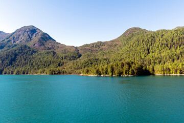 Obraz premium Pine and cedar trees forest island along Inside Passage cruise between Prince Rupert and Port Hardy, Vancouver Island, British Columbia, Canada.