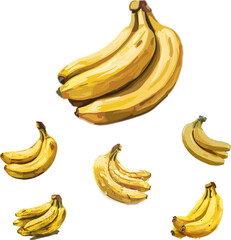 bananas on white background isolated on white, set of fresh fruits in color style