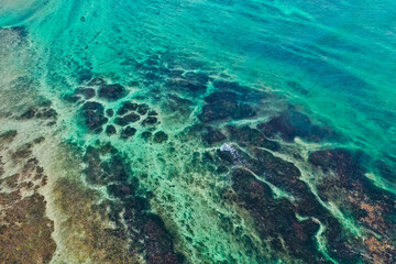 Sri Lankan coastal life captured from above—Weligama Beach with traditional boats, palm forest, and serene ocean vibes.