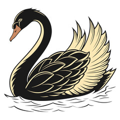 Vector art of elegant black swan gracefully gliding on water, its dark plumage contrasting with the soft, creamcolored feathers, creating a captivating image of serenity and beauty