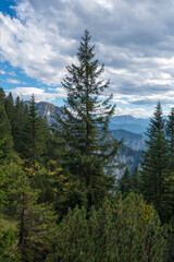 DAs Alpenvorland von Oben