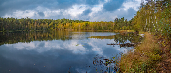 forest lake golden in autumn