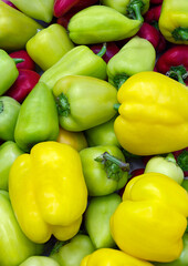Red, green and yellow sweet peppers