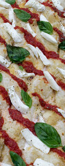 Pizza with topping of mozzarella cheese, tomato sauce and basil leaves, ready to be baked