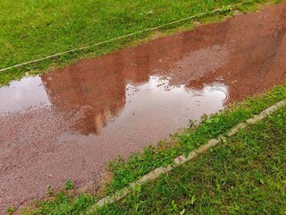 green grass and water
