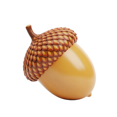 Closeup of an acorn isolated on transparent background, a symbol of autumn and nature
