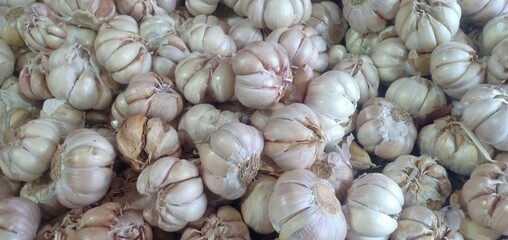 bunch of garlic