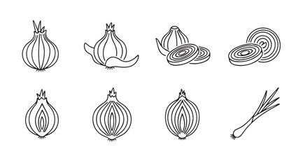 Collection of hand drawn onion and garlic vegetable icons for culinary design and food graphics vector