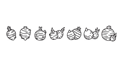 Hand drawn botanical illustrations of various root vegetables and bulbs in a row vector