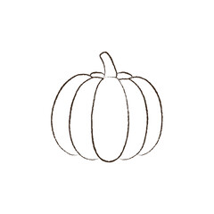line vector illustration of a pumpkin. hand drawn autumn pumpkin. cozy fall harvest.