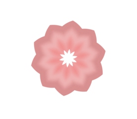 Geometric Floral Mandala Design in pink pastel Tones with Dynamic Zigzag Texture