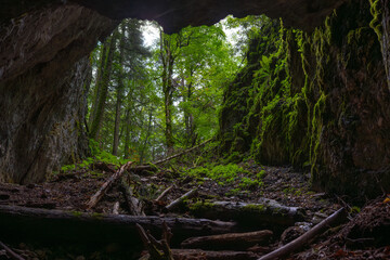 Cave entrance opening to forest © Xalanx