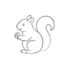 line vector illustration of a squirrel with a nut. hand drawn autumn squirrel. forest animal.