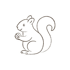 line vector illustration of a squirrel with a nut. hand drawn autumn squirrel. forest animal.