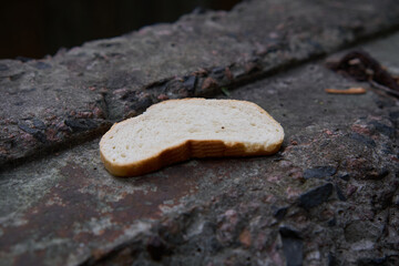 slice of bread on concrete background