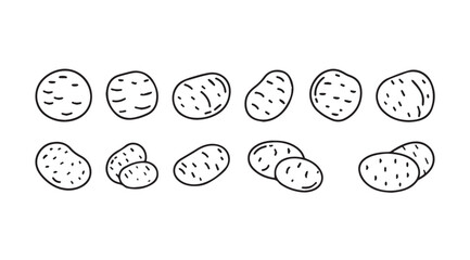 Hand drawn collection of various potato shapes and sizes isolated on vector