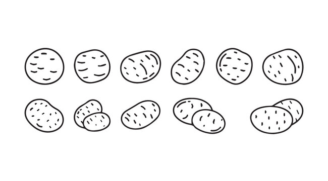 Hand drawn collection of various potato shapes and sizes isolated on vector