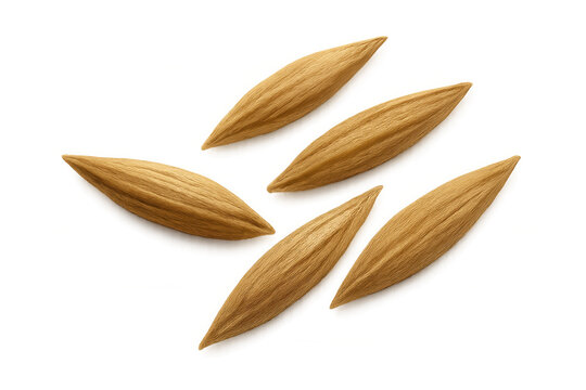 Oat grains or barley seeds scattering, representing agriculture, healthy food, and natural organic ingredients, with transparent background