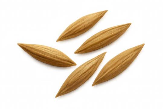 Oat grains or barley seeds scattering, representing agriculture, healthy food, and natural organic ingredients, with transparent background