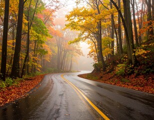 Obraz premium Winding Wet Road Through Autumn Forest with Fog and Colorful Leaves 